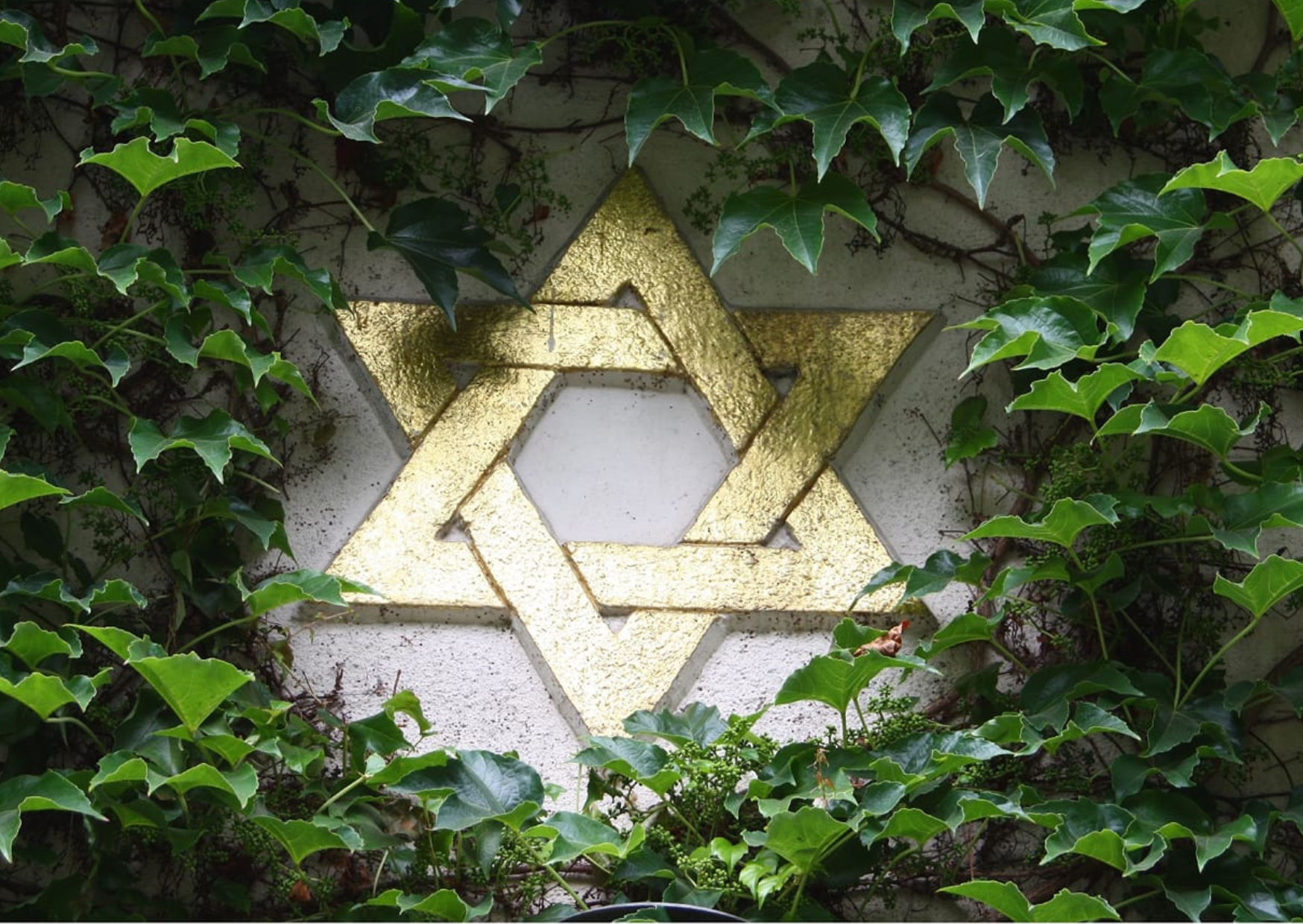 Komentovaná prohlídka výstavy Židovské památky